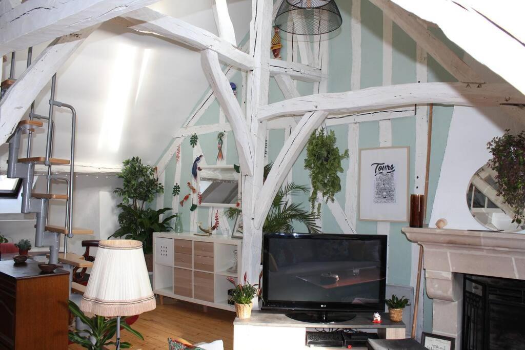 Charmant Appartement Vieux Tours Buitenkant foto
