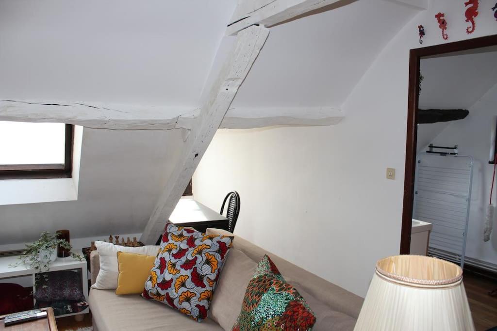 Charmant Appartement Vieux Tours Buitenkant foto